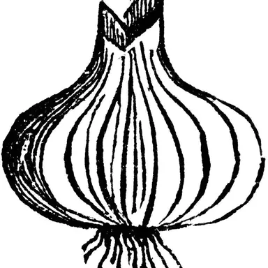 Profile image of 1