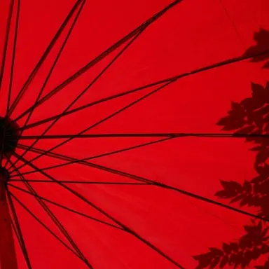 Profile image of 김일영