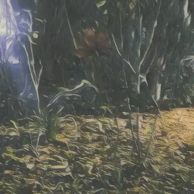 Profile image of 한지아