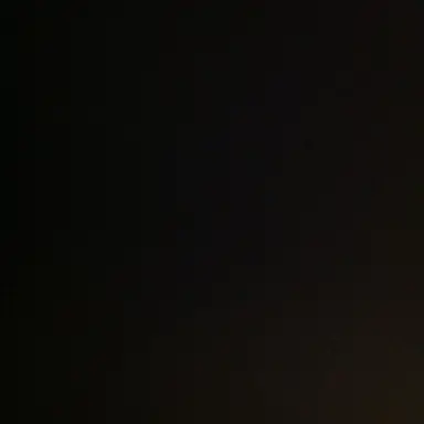 Profile image of 라더