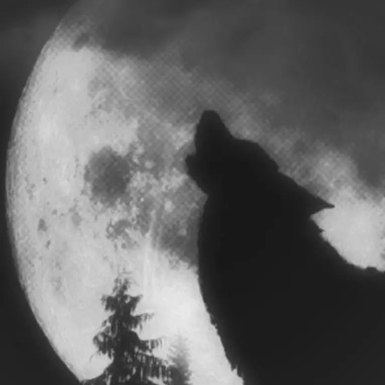 Vapegirl1623의 Moonlit Desperation