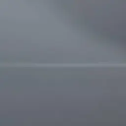 skz.sps_HJ.F의 황현진.