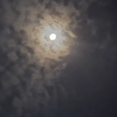 Profile image of 연고