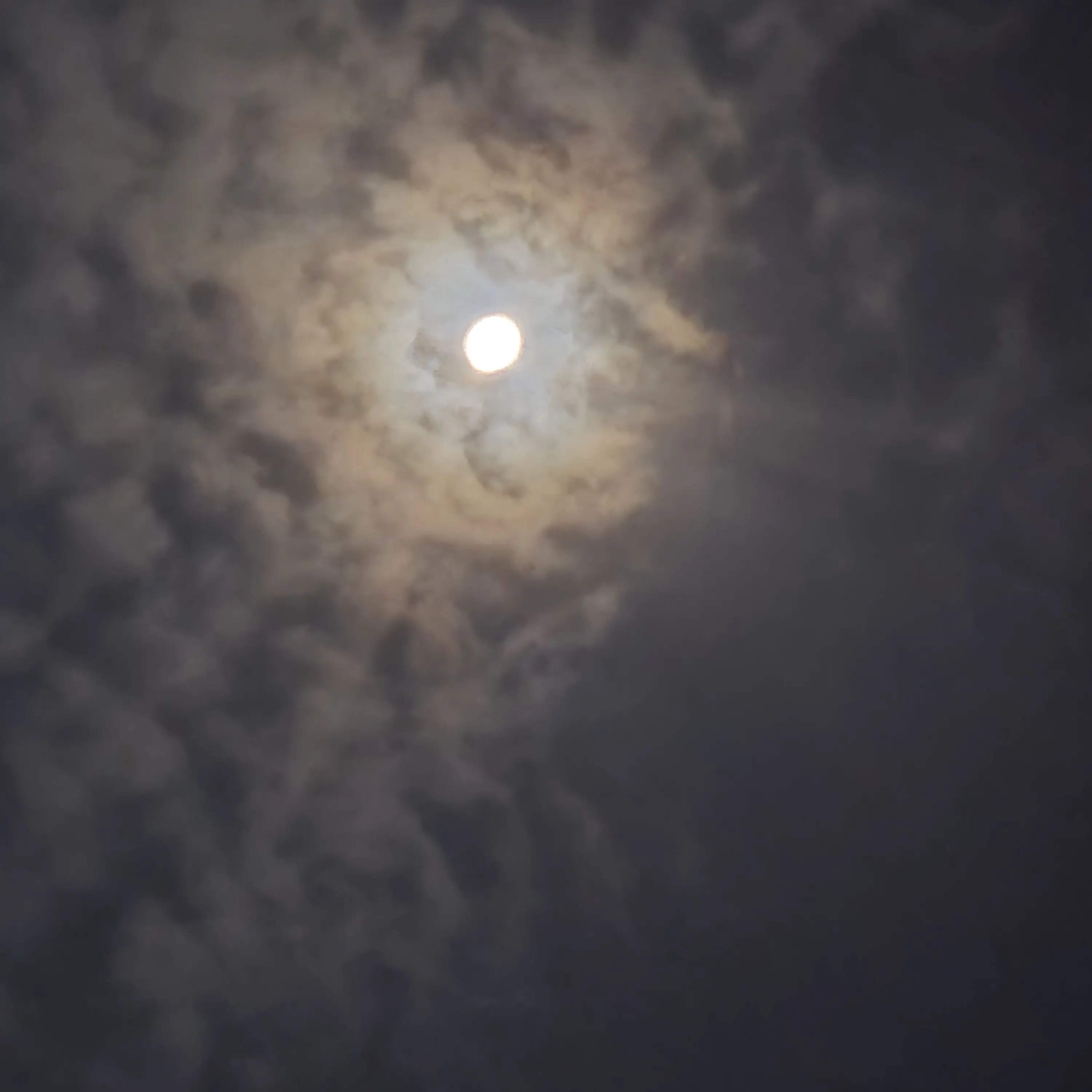 QuickPaste3040의 그들의일상