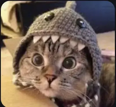 FreshPlay3020의 Hispanic gc