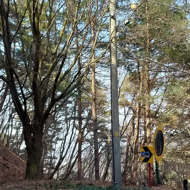 Profile image of 정공룡