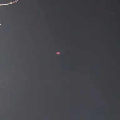 Profile image of 김각별