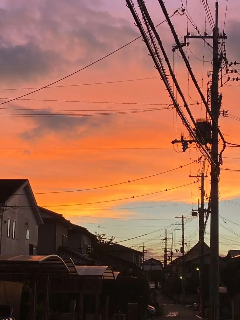 GiddySkin4993의 東京タワー