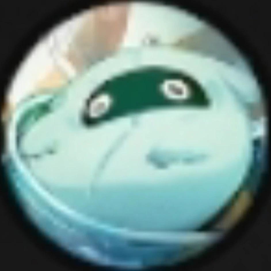 벨