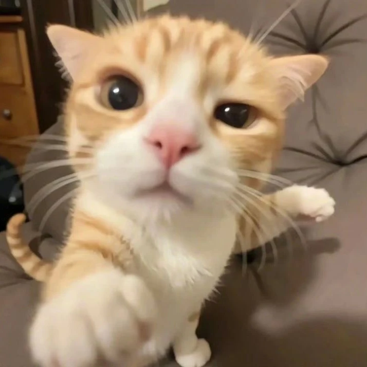 テサン