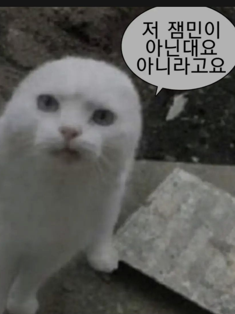 뛰바 오빠들!!!!!!!!!!!!!! 대표 이미지