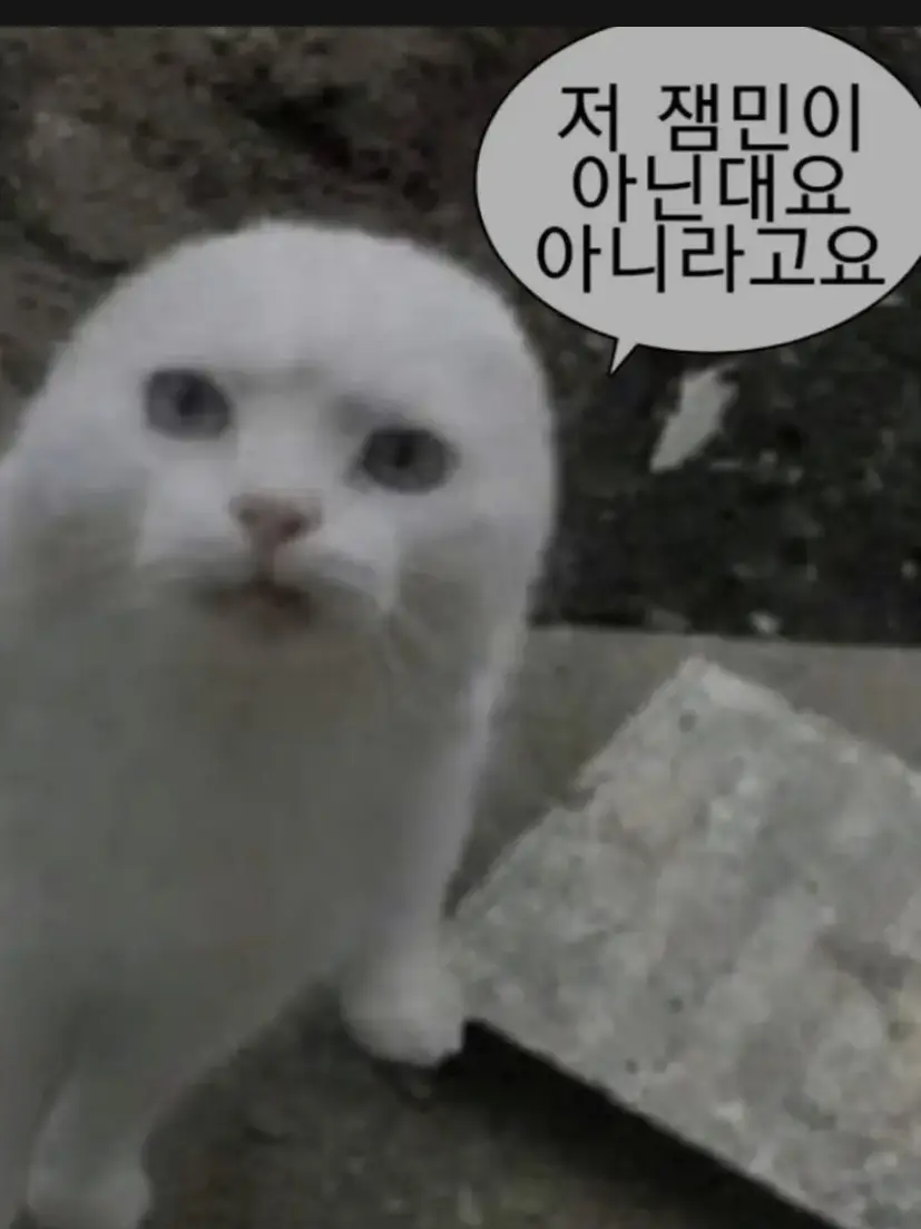 millkAddict1008의 뛰바 오빠들!!!!!!!!!!!!!!