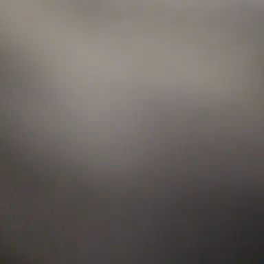 Profile image of 평학의 여동생