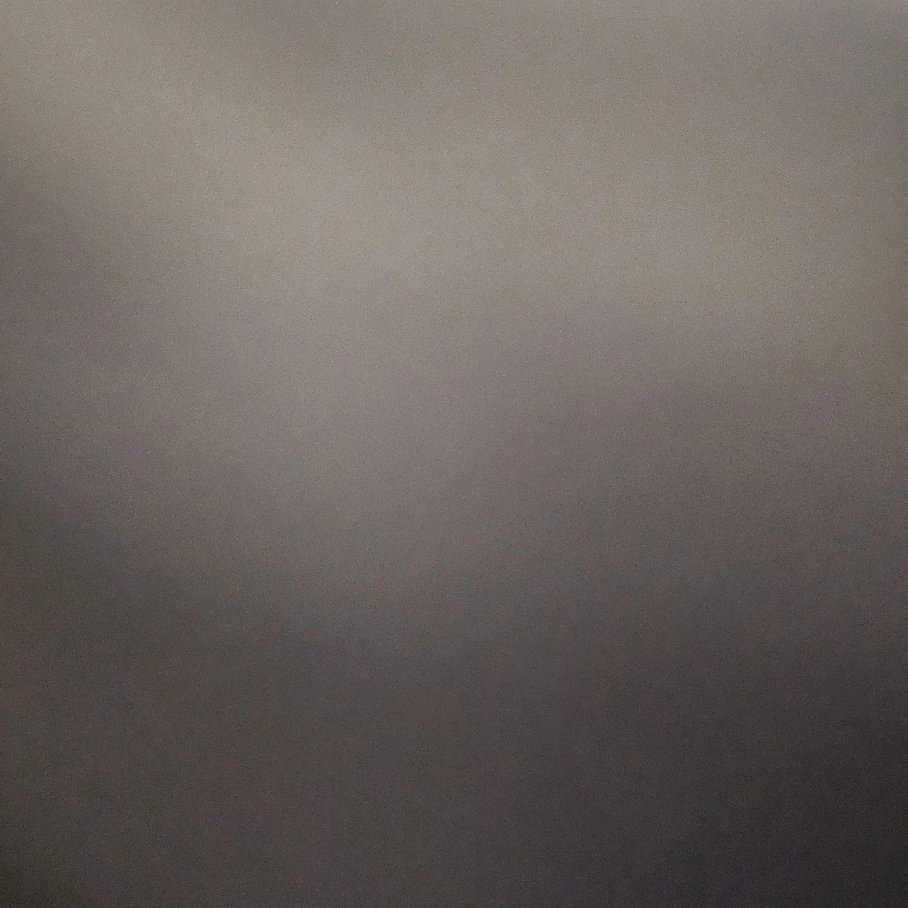 평학의 여동생