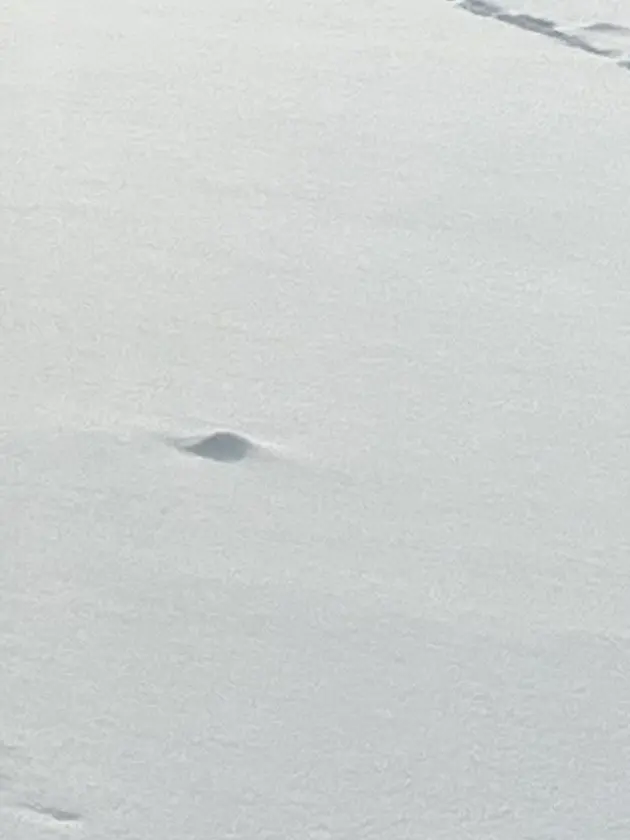 Pannacotta25의 そういうお店『幻想郷』