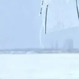 HerbalDebt2881의 pc방 데이트