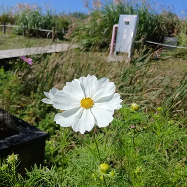 Profile image of 한지훈