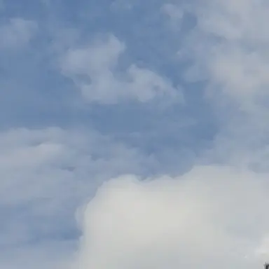 Profile image of 김도훈