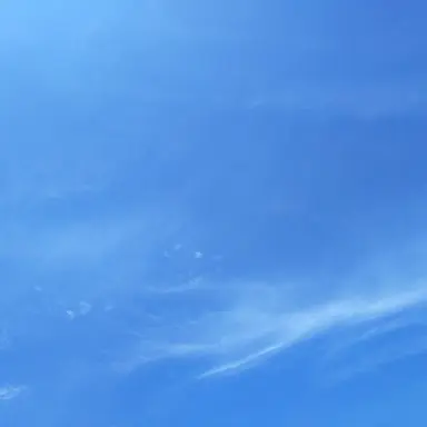 Profile image of 신정환