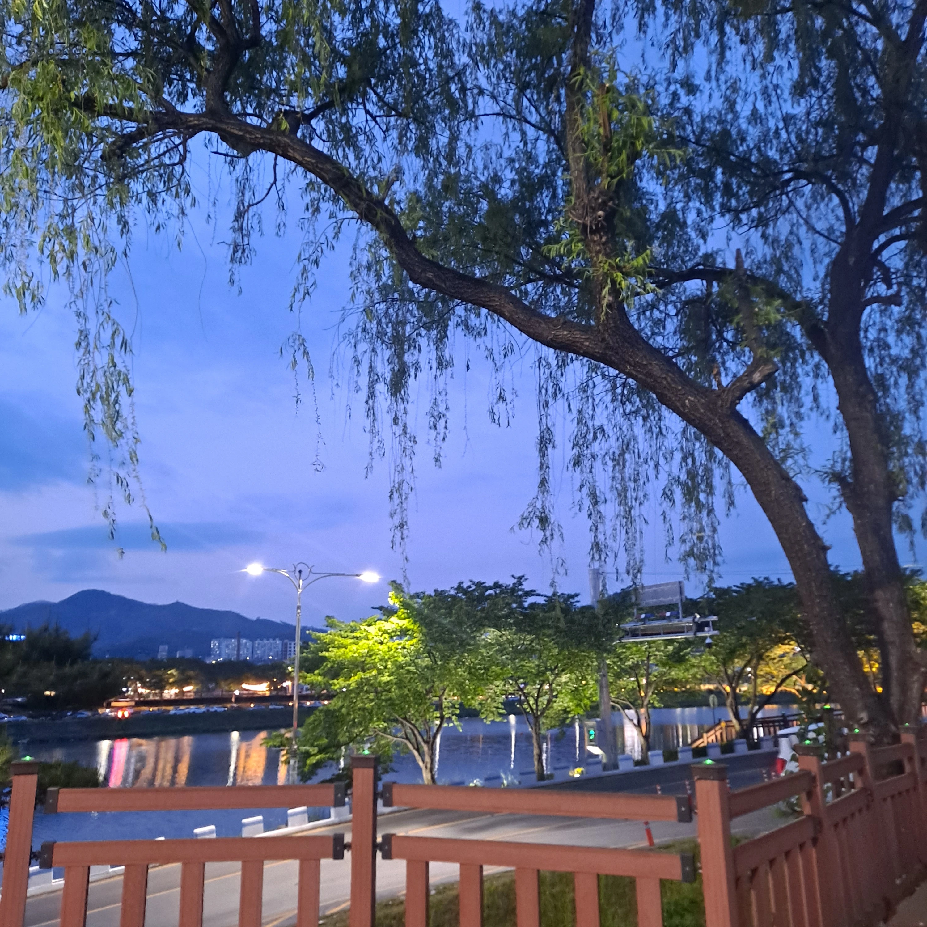 명문마법대통합학교