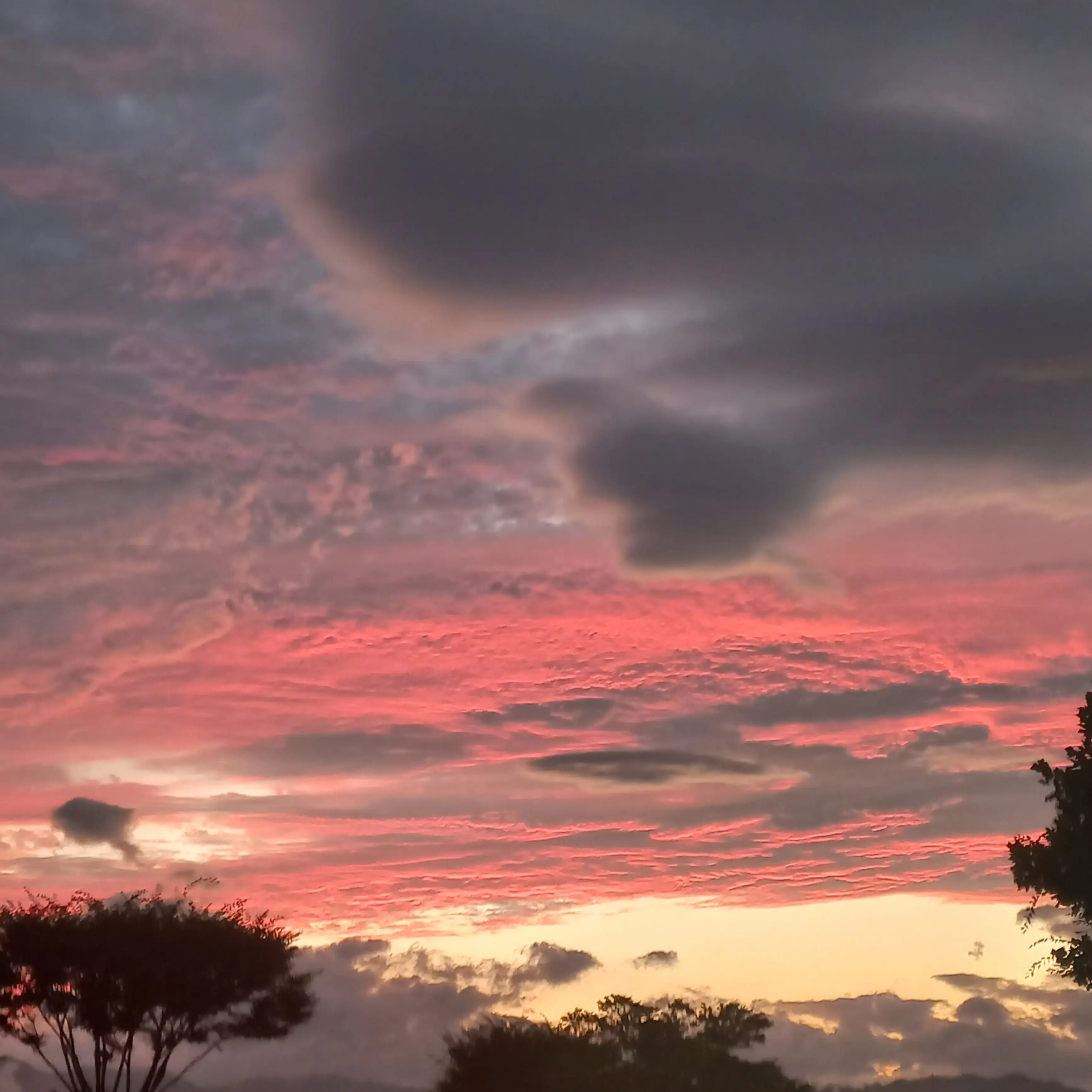 ClearSoap9927의 당신을 짝사랑하는 이세계아이돌