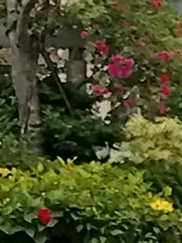 VictimFrog.com의 證玲ｮｺ繧ｰ繝ｫ繝ｼ繝