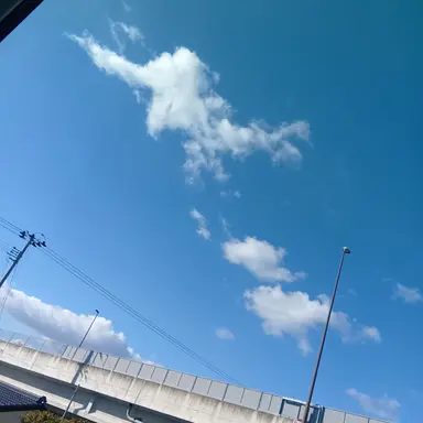 Profile image of 源田司令