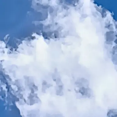 Profile image of 林