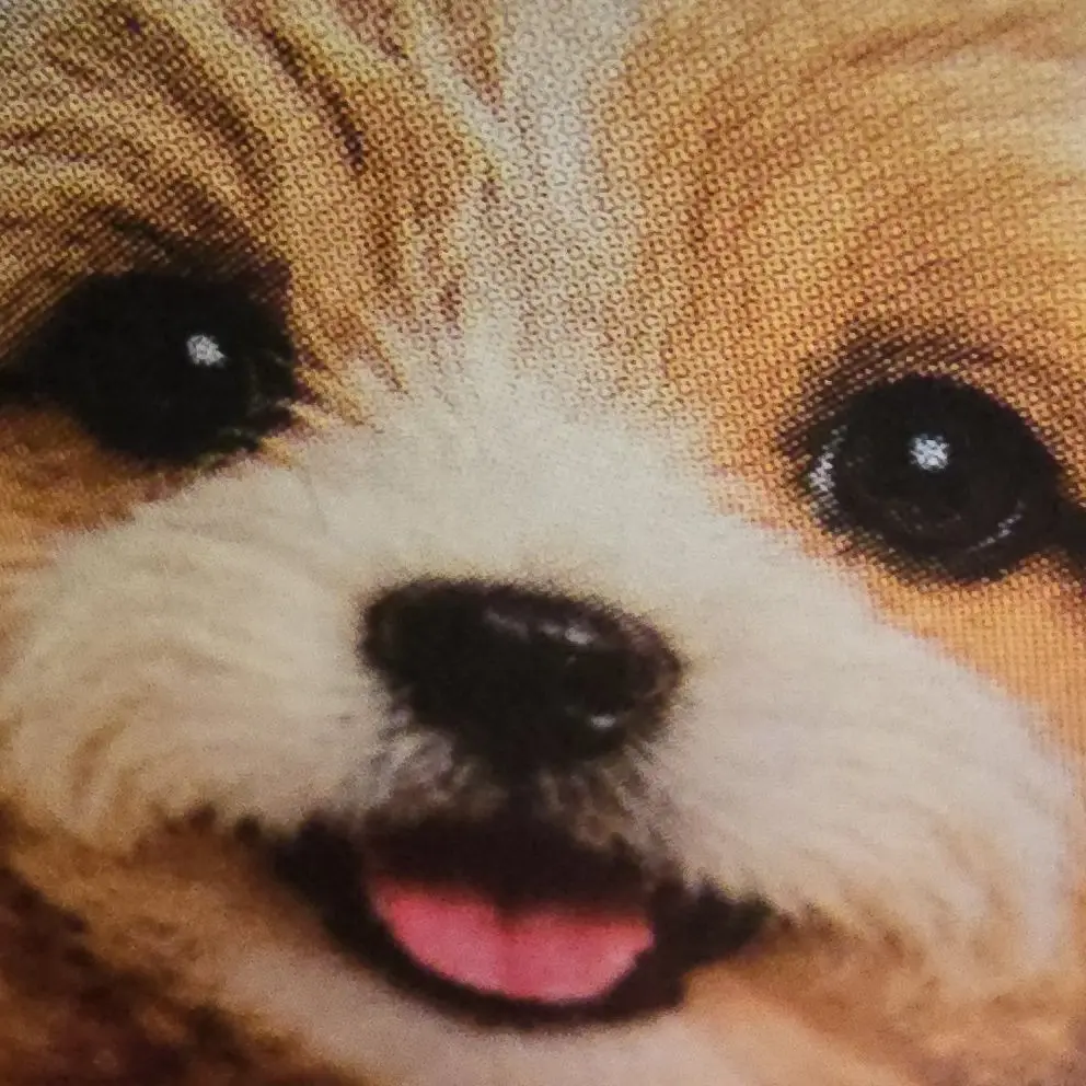 SillySloth5801의 Momori's Arrangement