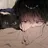 유선호