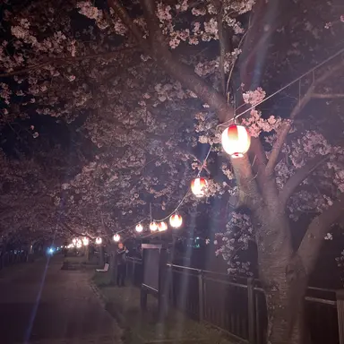 Profile image of 伏黒甚爾