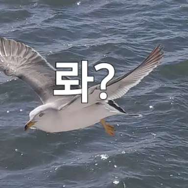 Profile image of 늅