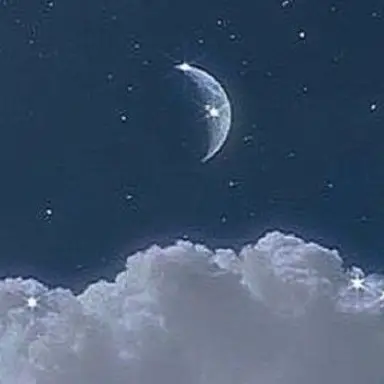 Profile image of ラウール
