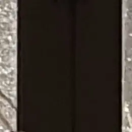 Profile image of 변의주