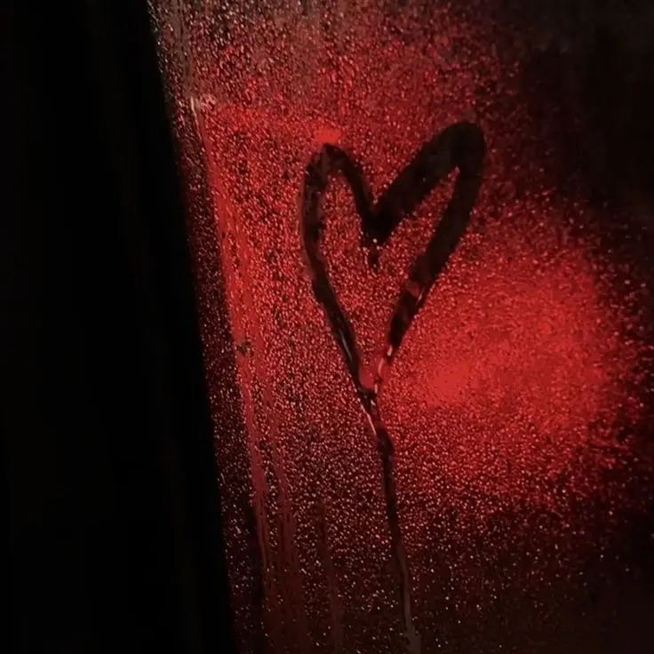 sugar.on.my.bigbang의 애완동물