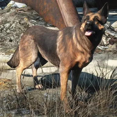 Profile image of Dogmeat