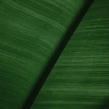 Profile image of 비챤