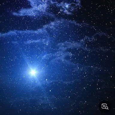 Profile image of 고세구