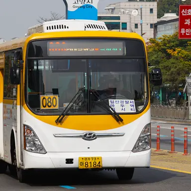 Profile image of 080번 버스