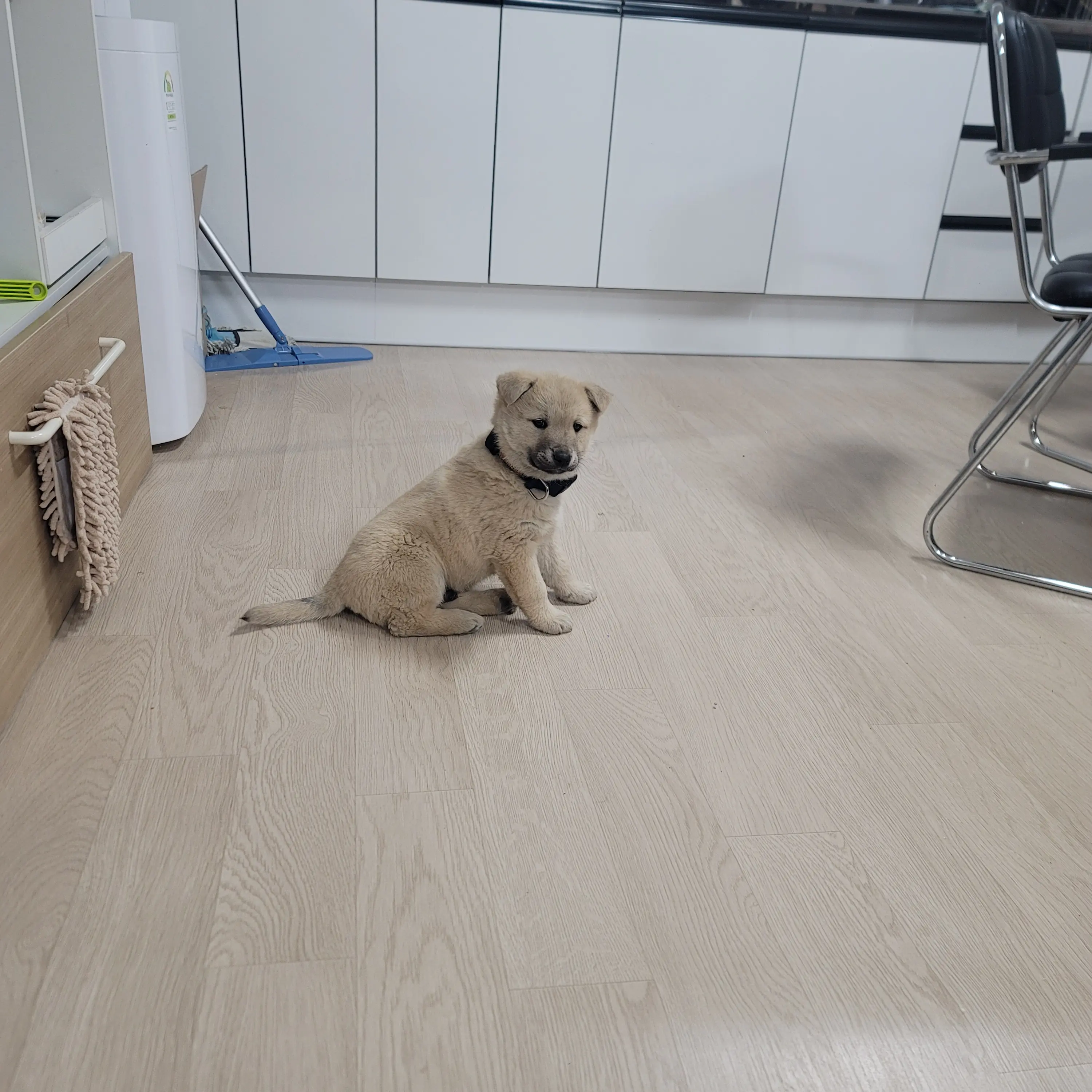 VividShack0177의 태산