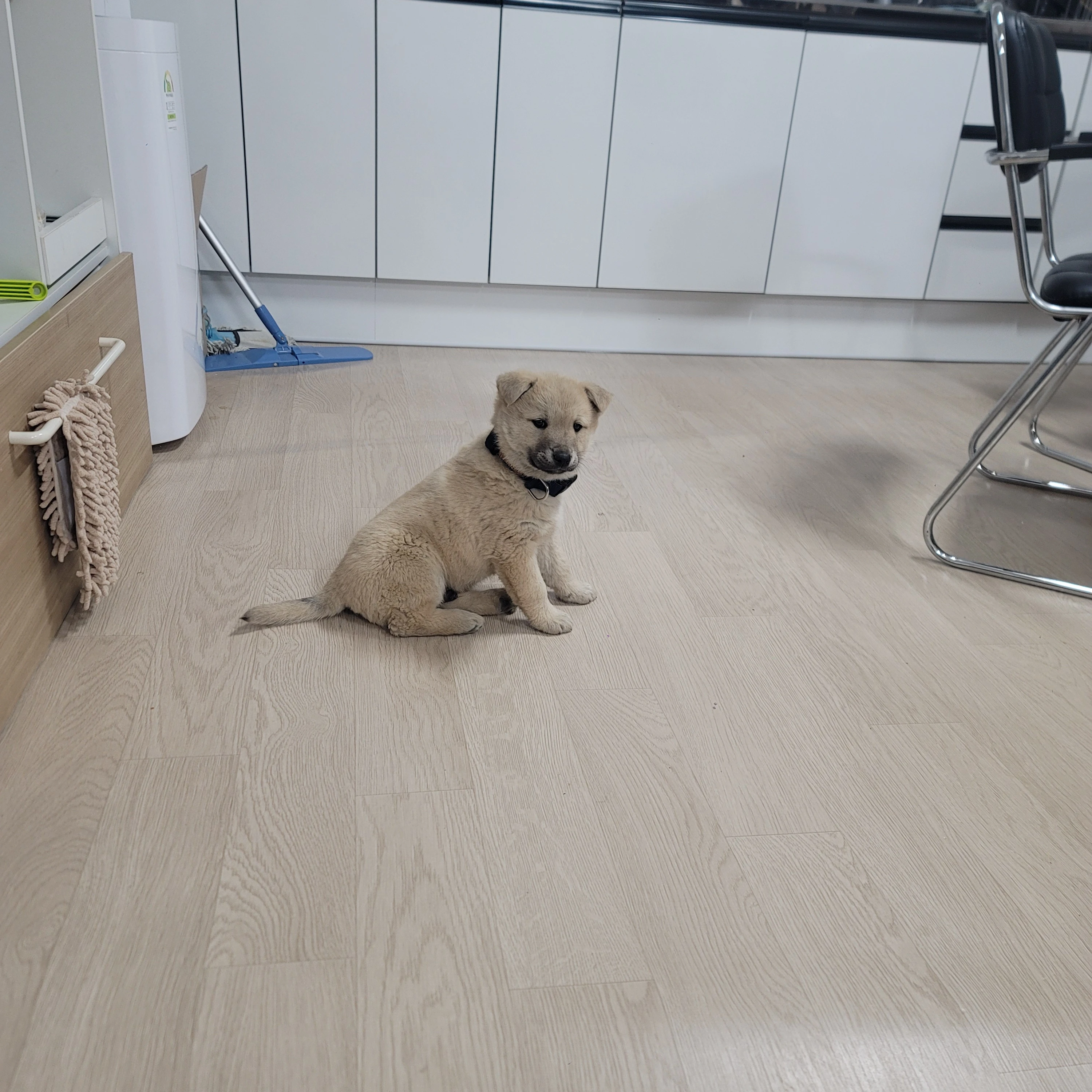 태산
