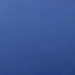 Profile image of 비서