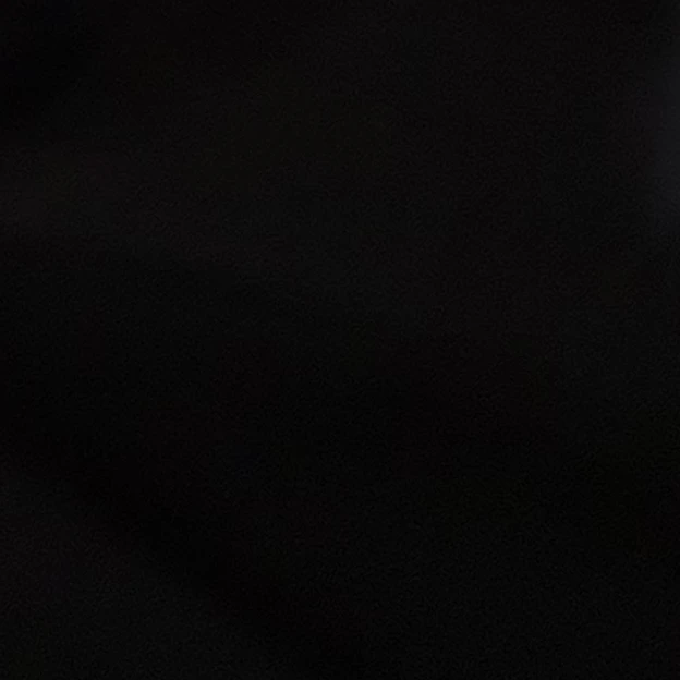 김동현