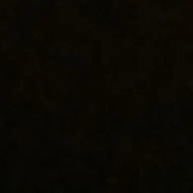 Profile image of 이 한