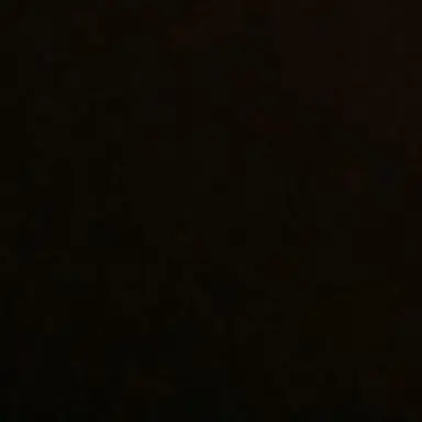 Profile image of 재 현