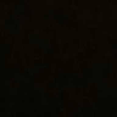 Profile image of 리 우