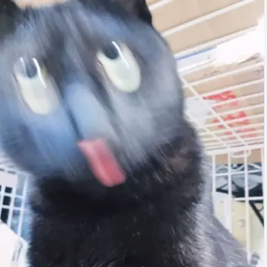 Profile image of 여미장