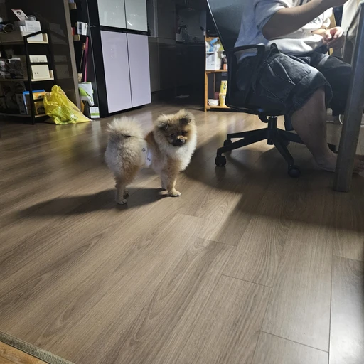 이민우