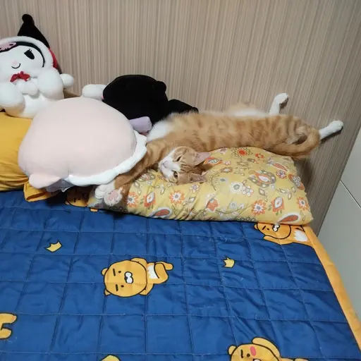 WindyCumin7599의 한서아