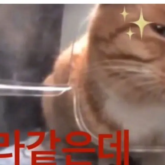 BentEmoji9513의 보이 언더 판처